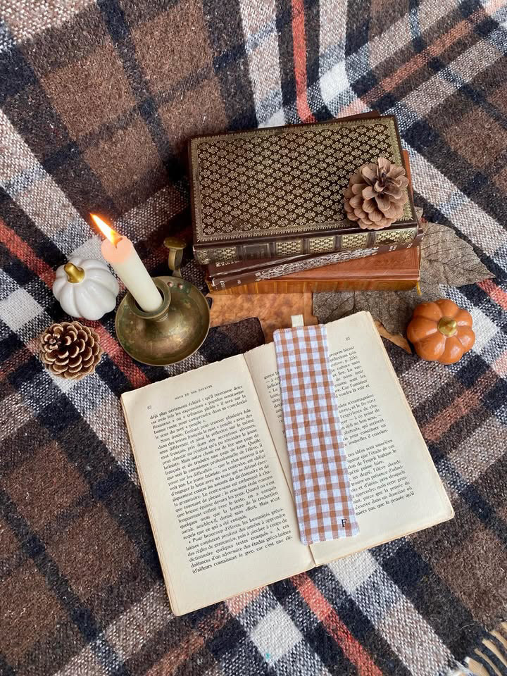 Collaboration Box les volets bleus avec Fernande35