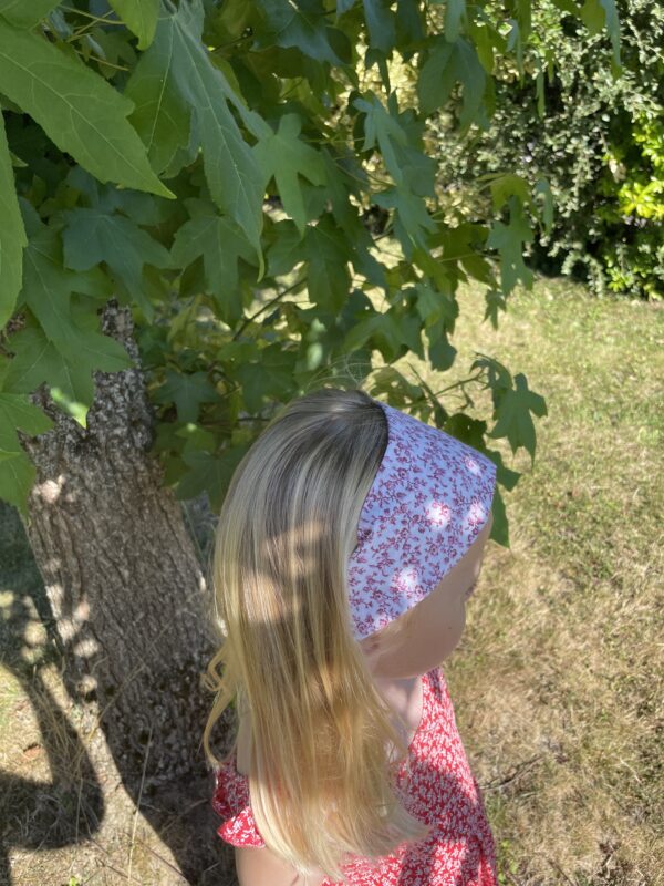 Bandeaux Cheveux